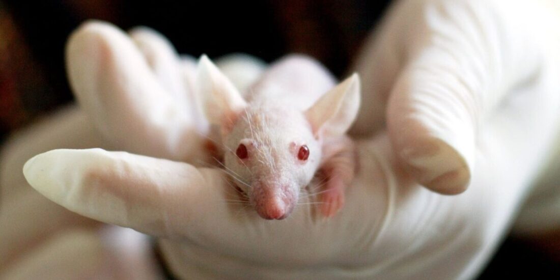 SEBiot  joins the Agreement on Transparency in Animal Experimentation