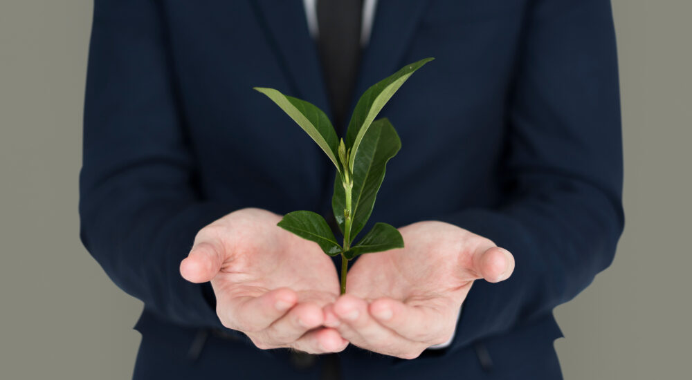 Propuestas para una bioeconomía europea más competitiva