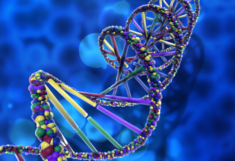 De una nueva infraestructura científica a los límites de la clonación