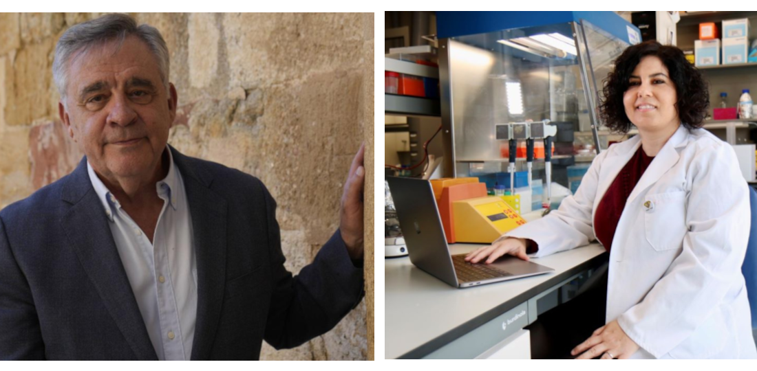 El astrónomo Rafael Bachiller y la neurocientífica Patricia González, premios COSCE a la Difusión de la Ciencia 2026
