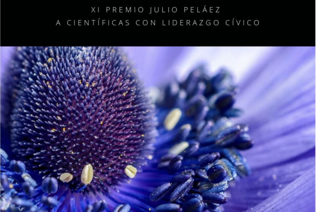 Abierta la convocatoria del XI Premio Julio Peláez a científicas con liderazgo cívico