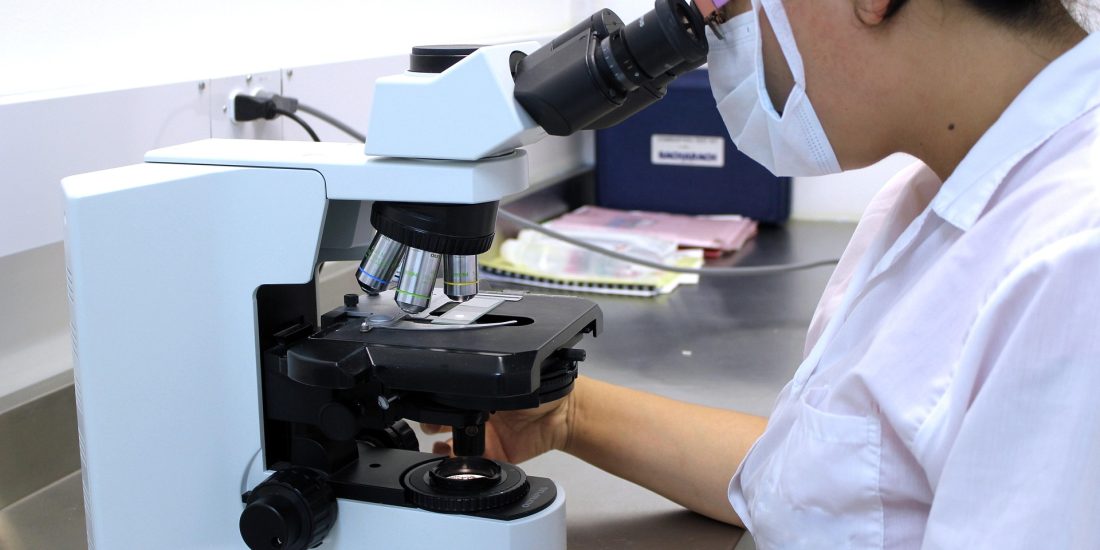Manifiesto por el impulso de la ciencia y la I+D